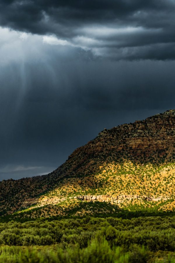 Summer thunderstorm - Photo by NOAA on Unsplash